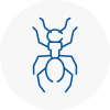 Ant Removals In Stneots
