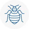 Bed Bug Extermination In Stneots