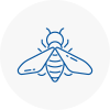 Bee Nest Removal Stneots