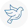 Bird Prevention Stneots