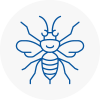 Stneots Hornet Nest Removals