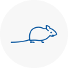 Mice Exterminators In Stneots