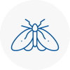 Moth Control Specialists In Stneots