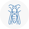 Stneots Wasp Nest Removal